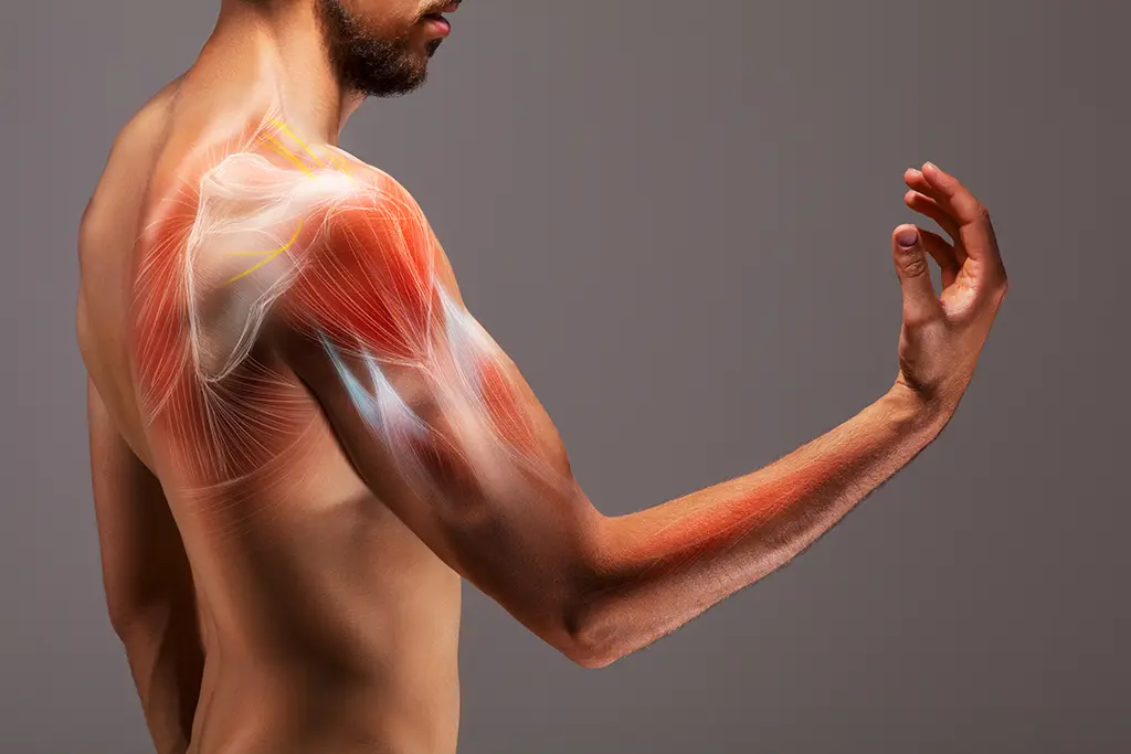 Arthroskopie Schulter Knie Stuttgart SchulteroOperation Knieoperation